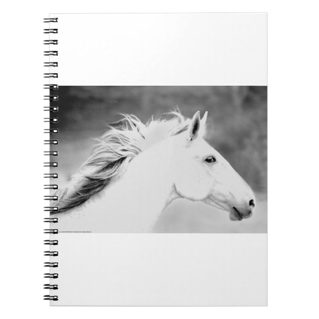 Cuaderno Melena de LIN26BW en el Wind.tif (Frente)