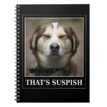 Meme divertido para perros