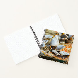 Cuaderno Memories of the shores of Thailand