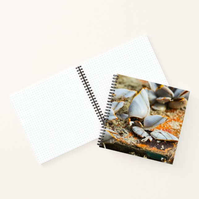 Cuaderno Memories of the shores of Thailand (Interior)