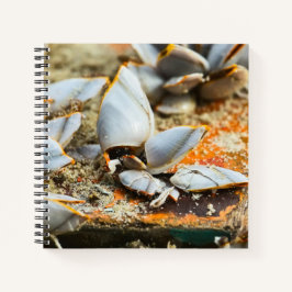 Cuaderno Memories of the shores of Thailand