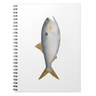 Cuaderno Menhaden argentino