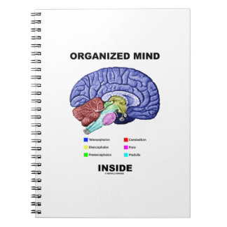 Cuaderno Mente organizada interior (actitud cerebral anatóm