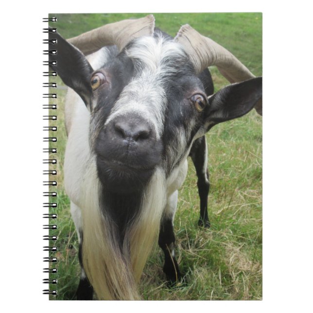 Cuaderno Mentes inquietantes (Frente)