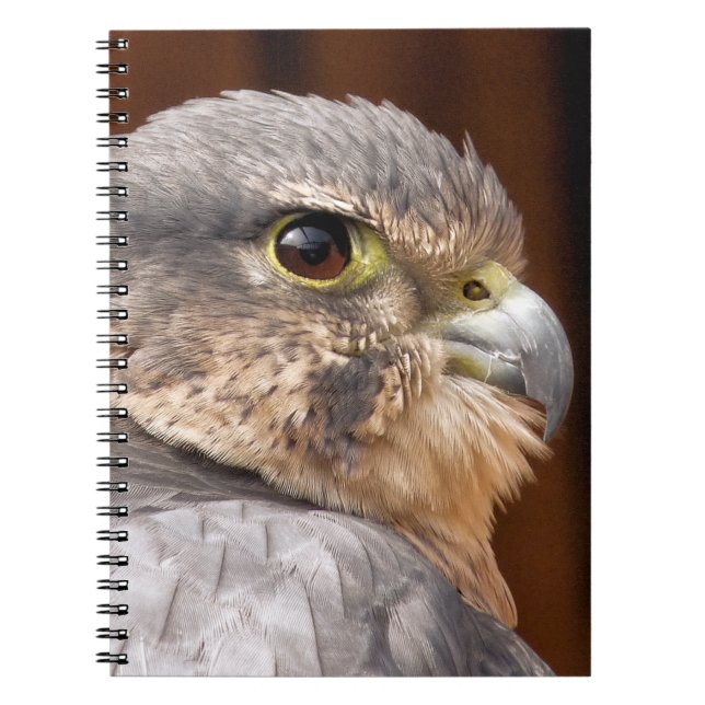 CUADERNO MERLIN FALCON BIRD DE PRESA (Frente)