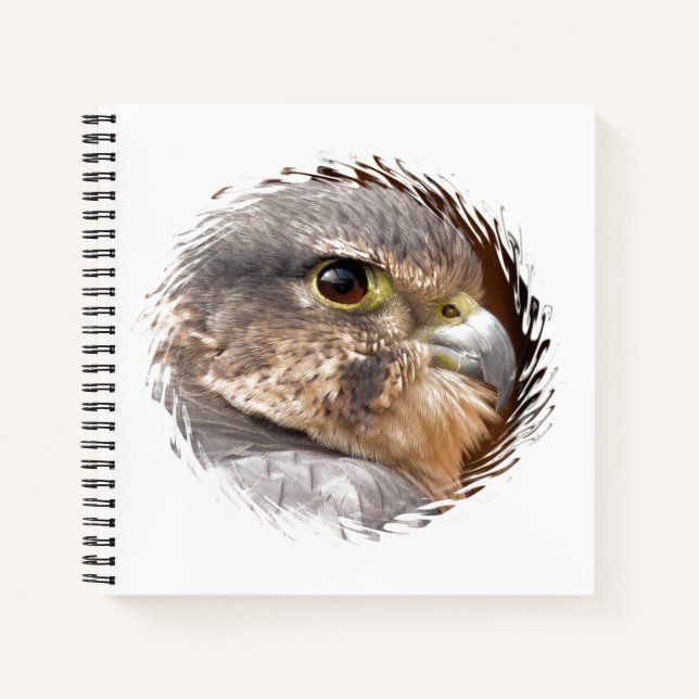 CUADERNO MERLIN FALCON BIRD DE PRESA (Anverso)