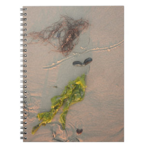 Cuaderno Mermaid
