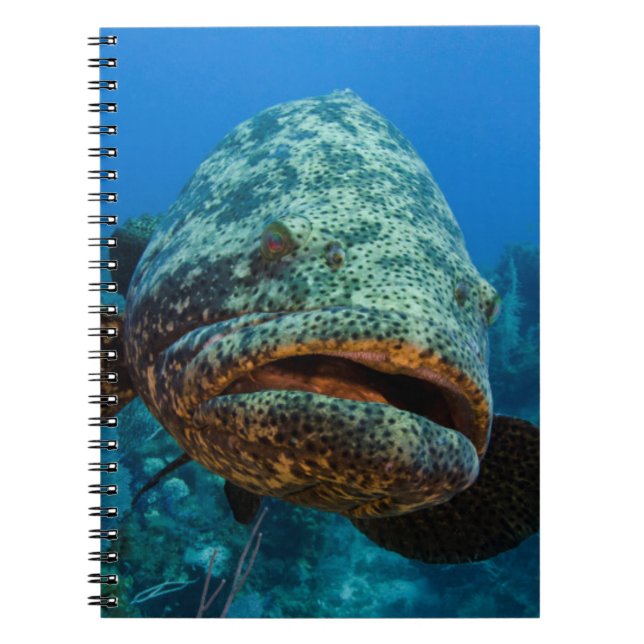 Cuaderno Mero Goliat Atlántico (Frente)