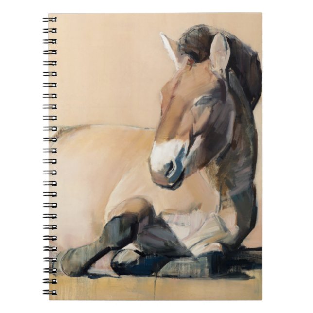 Cuaderno Meseta Sun (Frente)