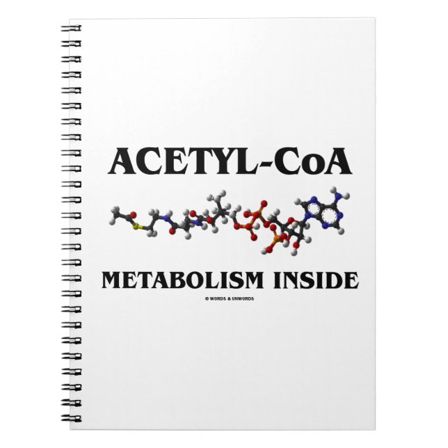 Cuaderno Metabolismo del Acetilo-CoA en el interior (Molécu (Frente)
