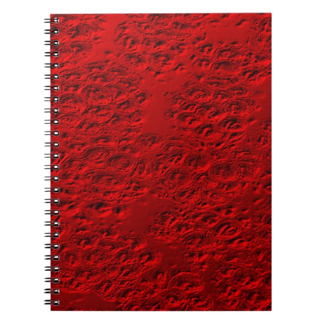 Cuaderno Metalizado rojo dañado (Frente)