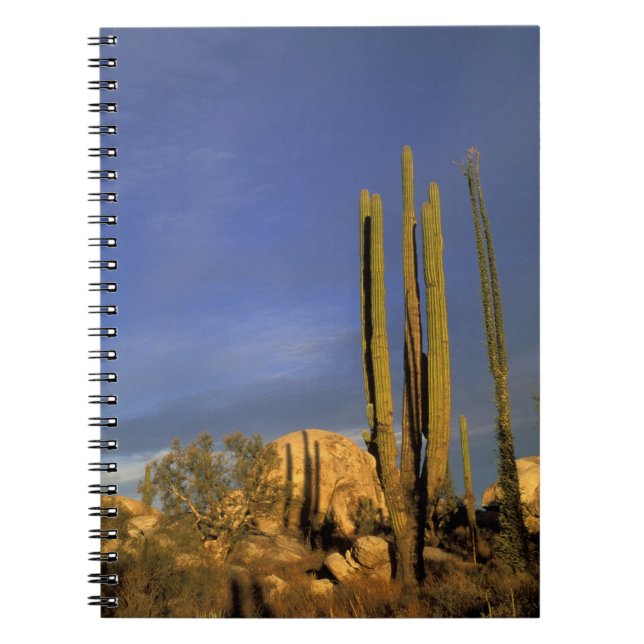 Cuaderno México, Baja del Norte, Catavina Desert Nacional (Frente)