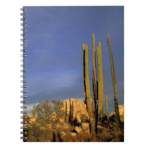 Cuaderno México, Baja del Norte, Desierto Nacional de Catav