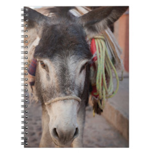 Cuaderno México, San Miguel De Allende 2