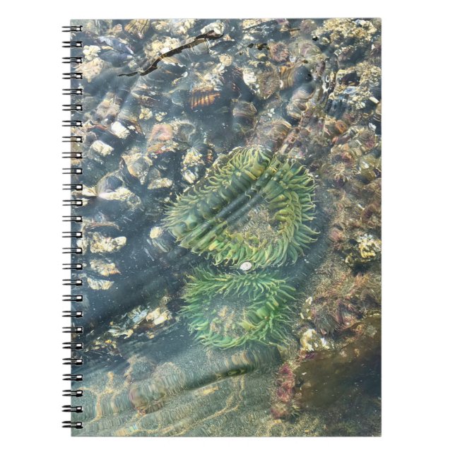 Cuaderno Meyers Beach North, Gold Beach, Oregon (Frente)
