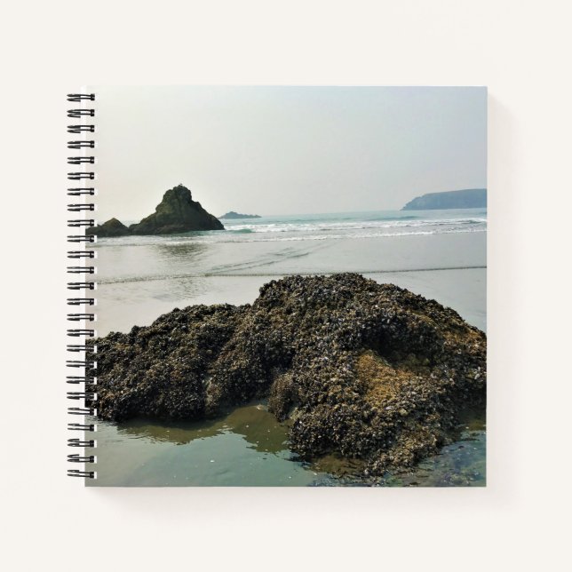 Cuaderno Meyers Beach North, Gold Beach, Oregon (Anverso)