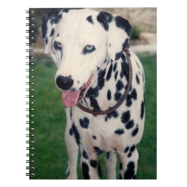 Cuaderno Mi amigo Mascota Dalmatian Dog Personalizado (Frente)