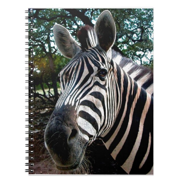 Cuaderno Mi amigo strippy (Frente)