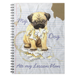 Cuaderno Mi barro amasado comió mi plan de lección