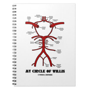 Cuaderno Mi Círculo De Willis (Anatómico)