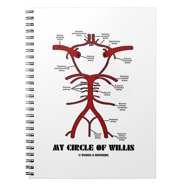 Cuaderno Mi Círculo De Willis (Anatómico) (Frente)