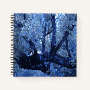 Cuaderno Mi invierno azul......