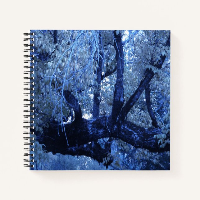 Cuaderno Mi invierno azul.... (Anverso)