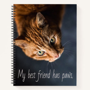 Cuaderno Mi mejor amigo tiene patas, Gato Gatito Lindo