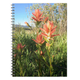 Cuaderno Mi pincel Devils