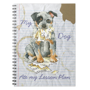 Cuaderno Mi plan de clases ACD Ate My Lesage