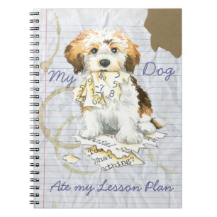 Cuaderno Mi plan de clases de hayanés