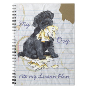 Cuaderno Mi plan de clases de Kerry Ate My Lesage