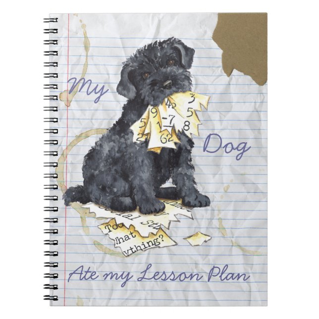 Cuaderno Mi plan de clases de Kerry Ate My Lesage (Frente)