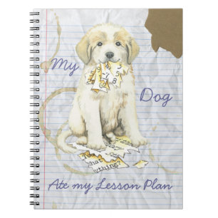 Cuaderno Mi plan de clases de los grandes Pirineos