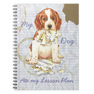 Cuaderno Mi plan de clases de primavera galesa