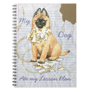 Cuaderno Mi plan de clases de Tervuren Ate Mi Lección