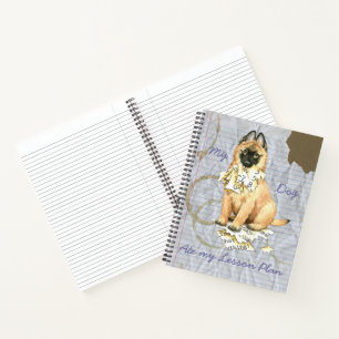 Cuaderno Mi plan de clases de Tervuren Ate Mi Lección