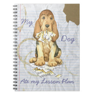 Cuaderno Mi plan de lección de odio por amor