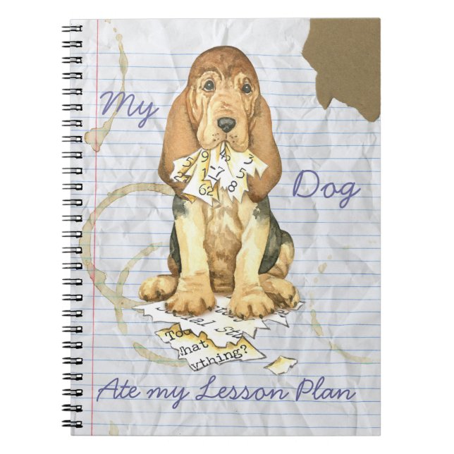 Cuaderno Mi plan de lección de odio por amor (Frente)