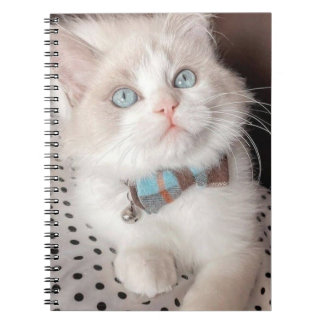 Cuaderno mi portátil de gato