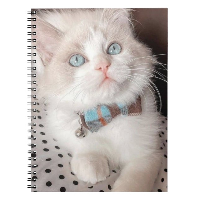 Cuaderno mi portátil de gato (Frente)