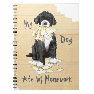 Cuaderno Mi PWD comió mi casa
