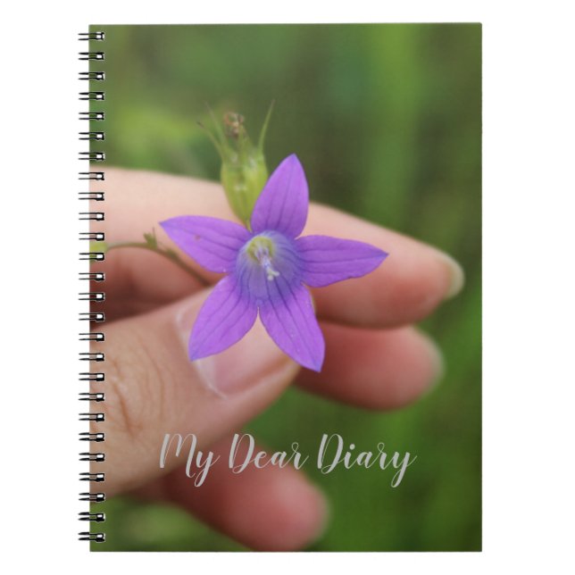 Cuaderno Mi querido diario (Frente)
