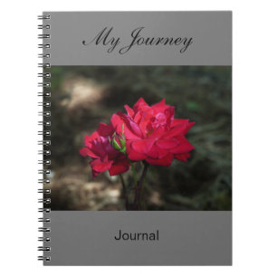Cuaderno Mi viaje - diario