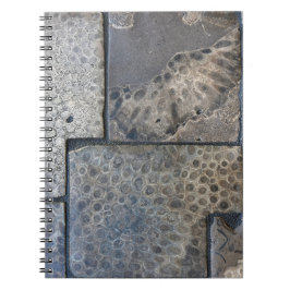 Cuaderno Michigan Petoskey Stone