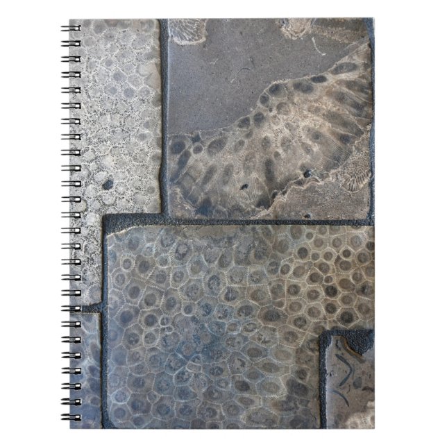 Cuaderno Michigan Petoskey Stone (Frente)