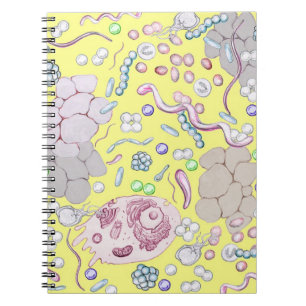 Cuaderno Microbiología en amarillo