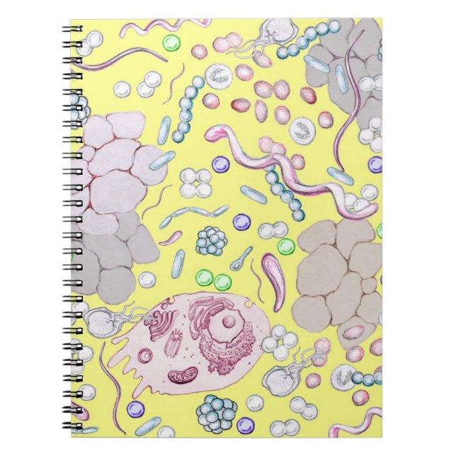 Cuaderno Microbiología En Amarillo (Frente)