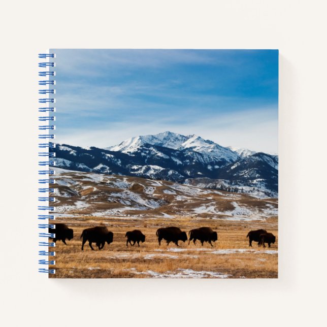 Cuaderno Migración de Bison (Anverso)