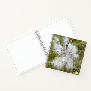 Cuaderno Milkweed   Mariposa   Esbozo